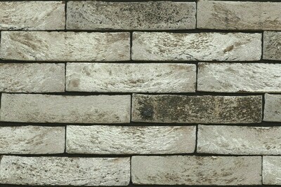 Cegla-Forno-bilone-cegly-elewacyjne-bielone-i-postarzane-cegly-elewacje-z-cegiel-projekty-elewacji-cegly-do-wnetrz-plytki-ceglane-bielone5.jpg